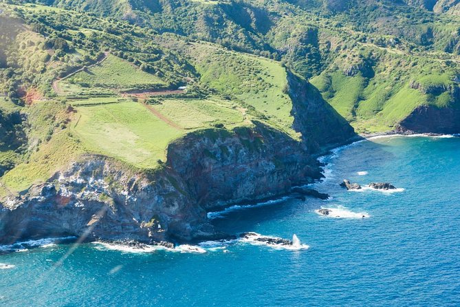 Maui Horseback Adventure at Circle M Ranch With Real Cowboys - Price and Value: $185.20 for a Real Horse, Real Guide, Real Trail Time