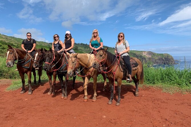 Maui Horseback Adventure at Circle M Ranch With Real Cowboys - Who This Tour Suits Best (And Who Should Think Twice)