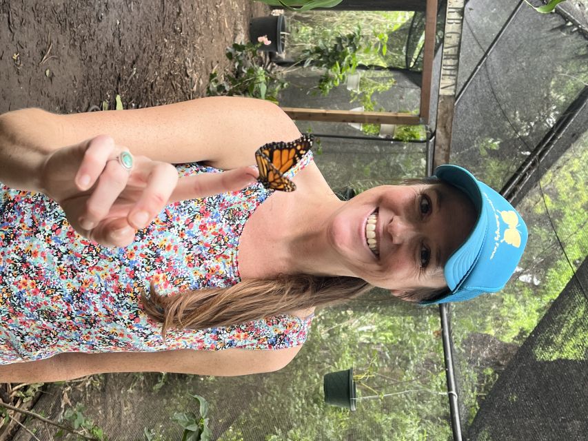 Maui: Interactive Butterfly Farm Entrance Ticket - The Hands-On Factor: Holding Butterflies, Interacting Calmly, and Getting Photos