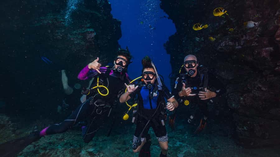 Maui: Intro to Scuba Diving from Shore - Lahaina - Who this is best for in Maui (and who should skip it)