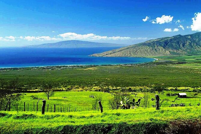 Maui Island Private Day Tour - Maui Ocean Center and Surfing Goat Dairy: fun, family-friendly momentum