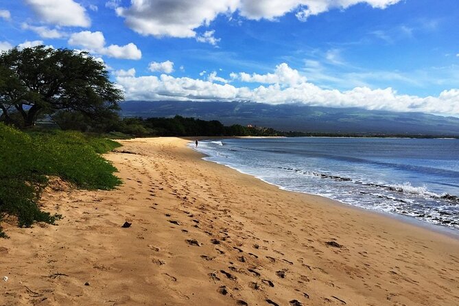 Maui Island Private Day Tour - What to bring: umbrellas, bugs, and comfortable walking shoes