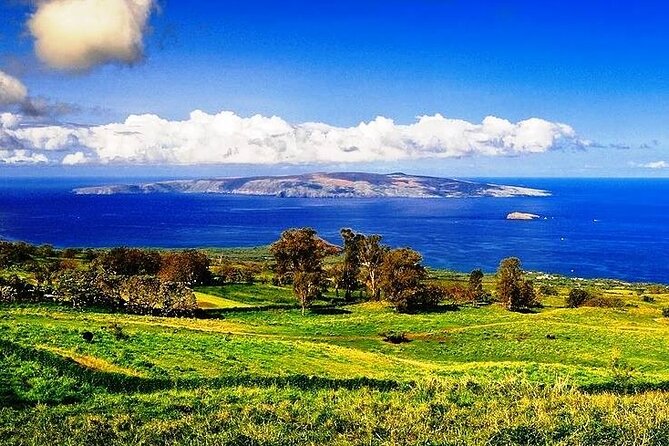 Maui Island Private Day Tour - Price and time: what $1,160 buys (and when it’s a smart value)