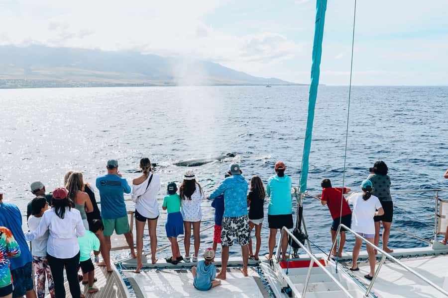 Maui: Ka'anapali Discount Whale Watch - Beach Loading Vessel - From Boarding to Sailing: What Your Two Hours Looks Like