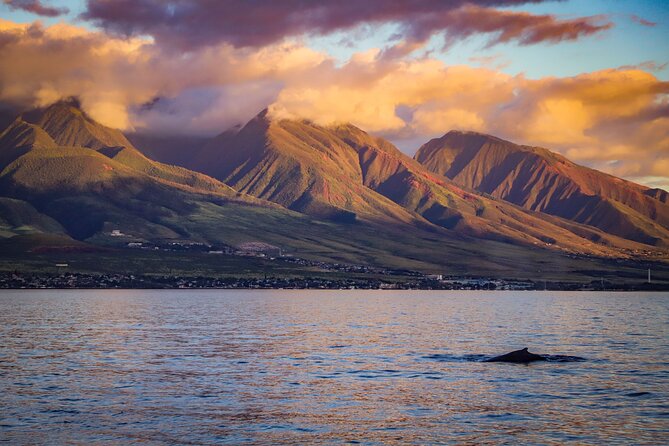 Maui: Ka'anapali Luxury Sunset Cocktail Sail with Open Bar - Sailing the West Coast: Mountains, Calm Water, and Whale Chances