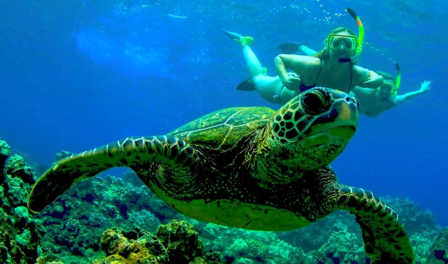 Maui: Kaanapali Beach 4-hour Snorkel w/ BBQ Lunch & Open Bar - Meeting point and parking: the quick way to start on time