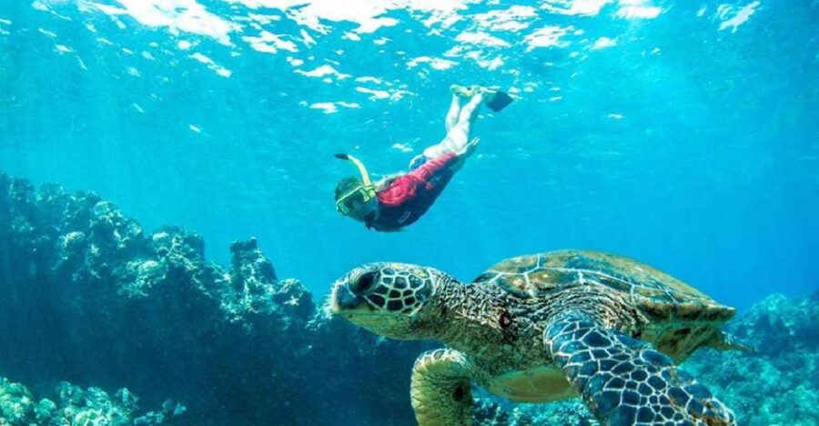 Maui: Kaanapali Beach 5-hr Snorkel w/ BBQ Lunch & Open Bar - The morning start: coffee, fruit, pastries, then out to sea