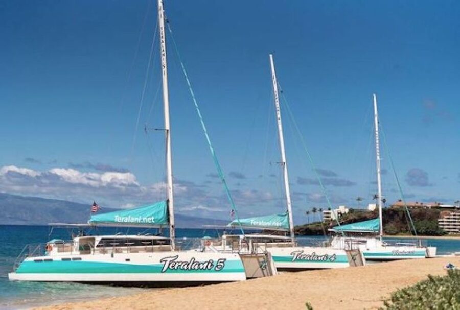 Maui: Kaanapali Dolphin Watching Boat Trip with Lunch - Why the Ka’anapali catamaran setup feels like more than a standard dolphin tour
