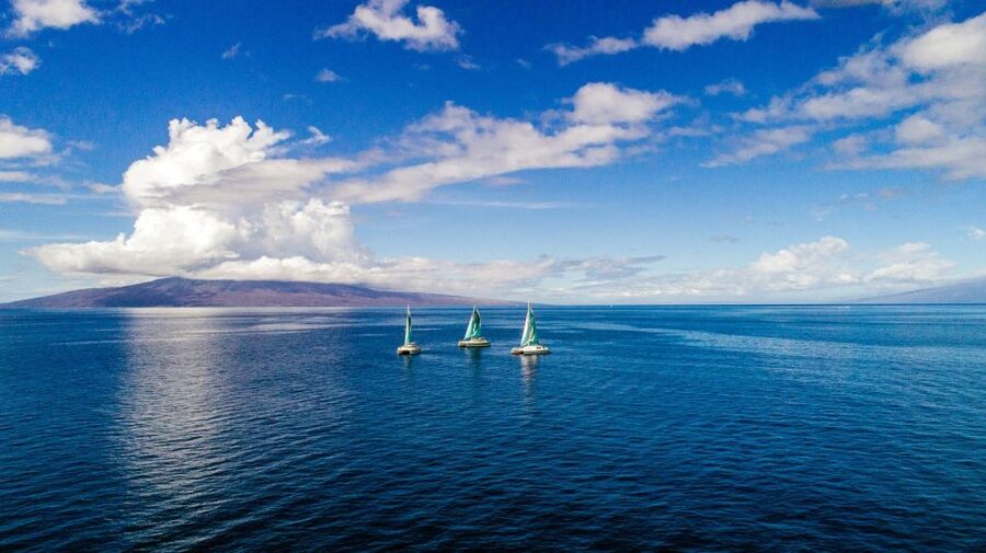 Maui: Kaanapali Dolphin Watching Boat Trip with Lunch - Should you book this Ka’anapali dolphin watching cruise with lunch?