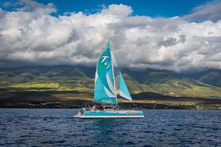 Maui: Kaanapali Whale Watching Boat with Open Bar and Food - Price and value: is $167 a fair deal for Maui whale time?