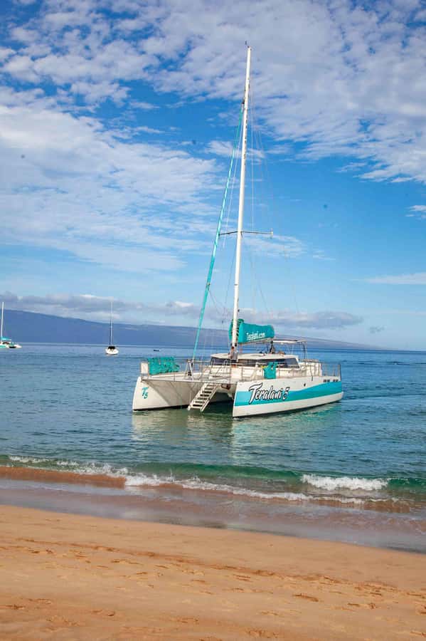 Maui: Kaanapali Whale Watching Boat with Open Bar and Food - Comfort, safety, and motion: catamaran pros and who should be cautious