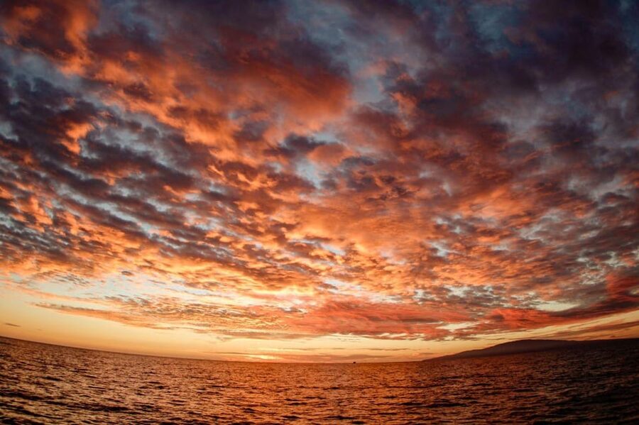 Maui: Luxury Catamaran Royal Sunset 5-Course Dinner Cruise - Sunset sailing: what the timing is really buying you