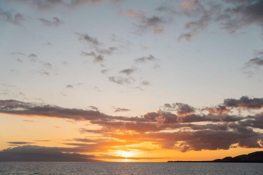 Maui: Luxury Catamaran Royal Sunset 5-Course Dinner Cruise - Price and value: what $289 buys (and for whom)
