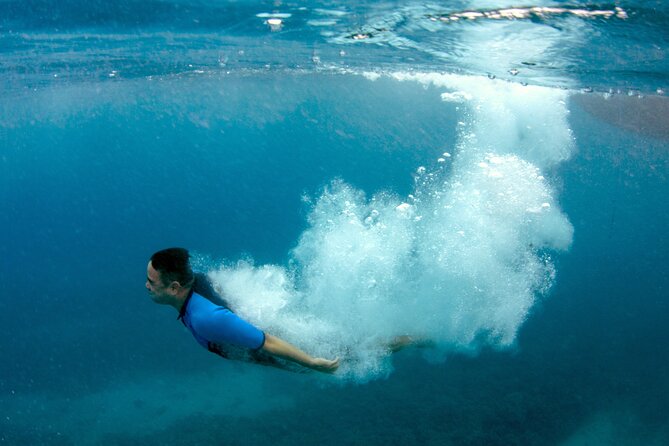 Maui Magic Adventure Snorkel: Molokini Crater and Turtle Stop - Wildlife moments beyond turtles: dolphins and whales without the hype