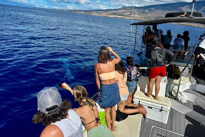 Maui Mid Day Magic Whale Watch - Entering the Day: Mala Boat Ramp and the 11:10am Start