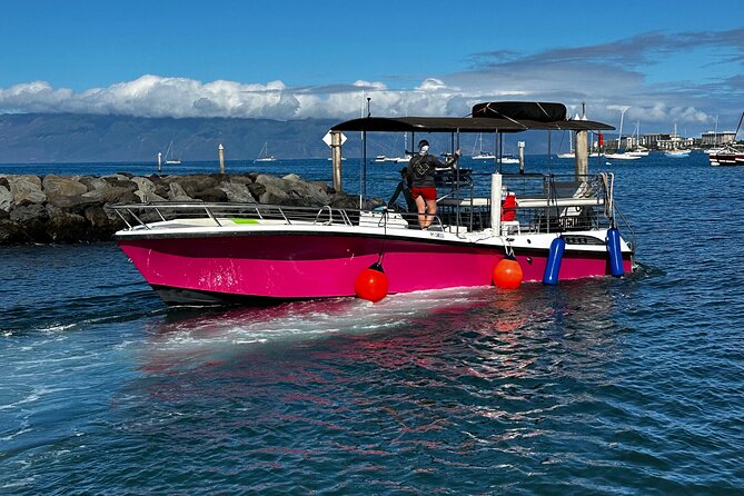 Maui Mid Day Magic Whale Watch - Scenic Views You Get While You’re Waiting for Whales