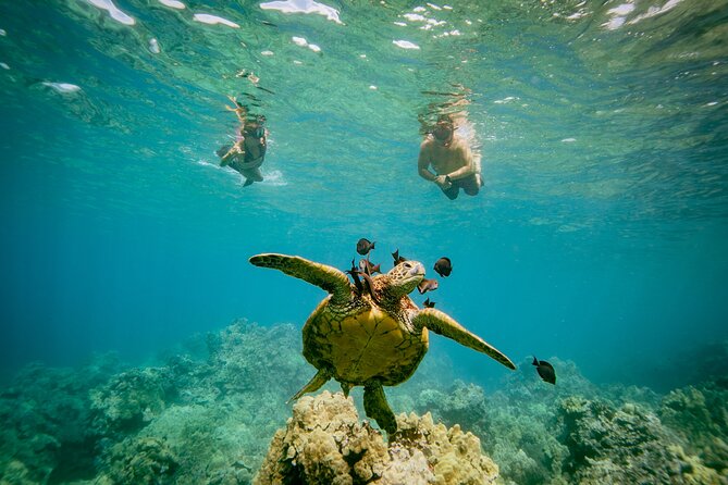 Maui: Molokini Crater and Turtle Town Snorkeling From Kihei - The crew factor: names you might hear on your trip