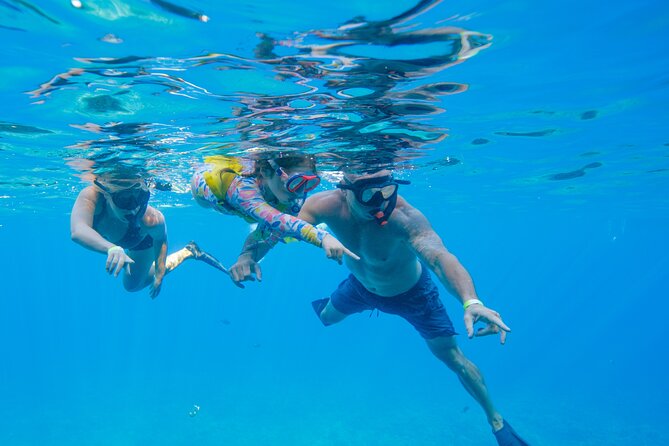 Maui: Molokini Crater and Turtle Town Snorkeling From Kihei - Weather and sea conditions: what to expect when it gets rough