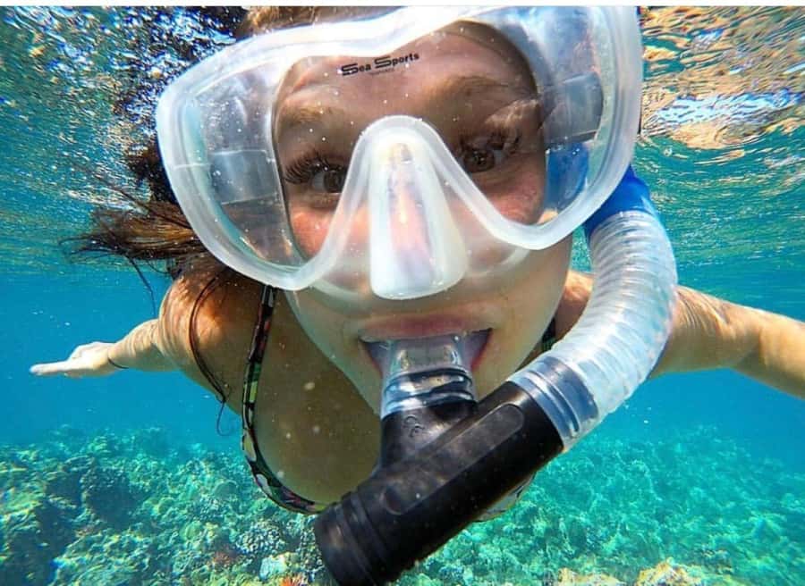 Maui: Molokini Crater and Turtle Town Snorkeling Tour - 3 hr - Key things to know before you book