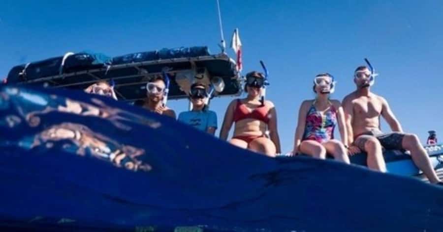 Maui: Molokini Crater and Turtle Town Snorkeling Tour - 3 hr - Molokini Crater on a Small Group: Less Crowd, More Focus
