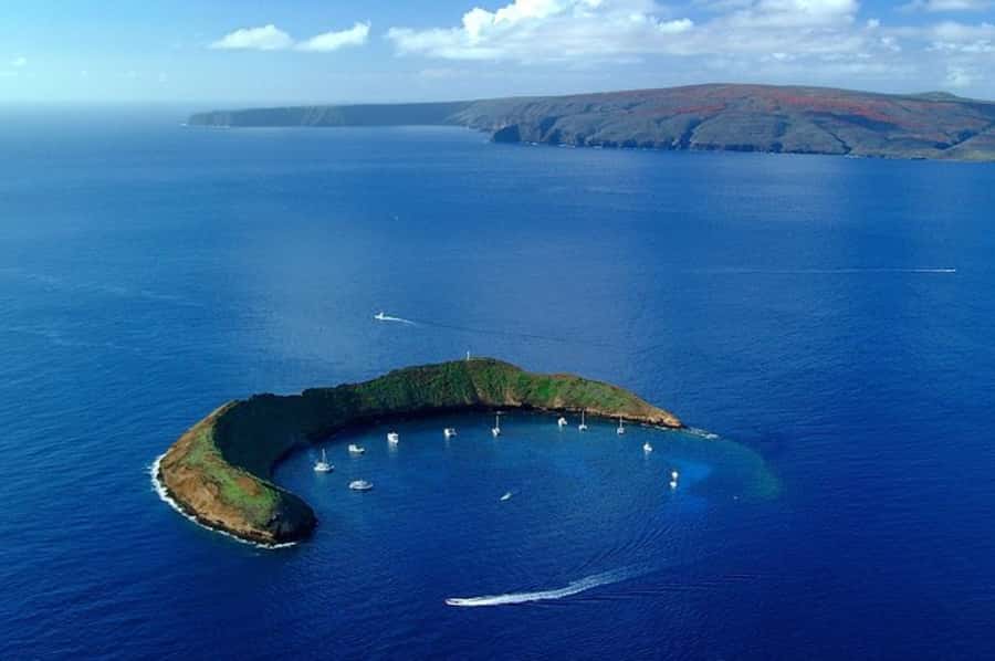 Maui: Molokini Express Snorkeling Tour - 2 hours - Check-in timing and the rhythm on the boat