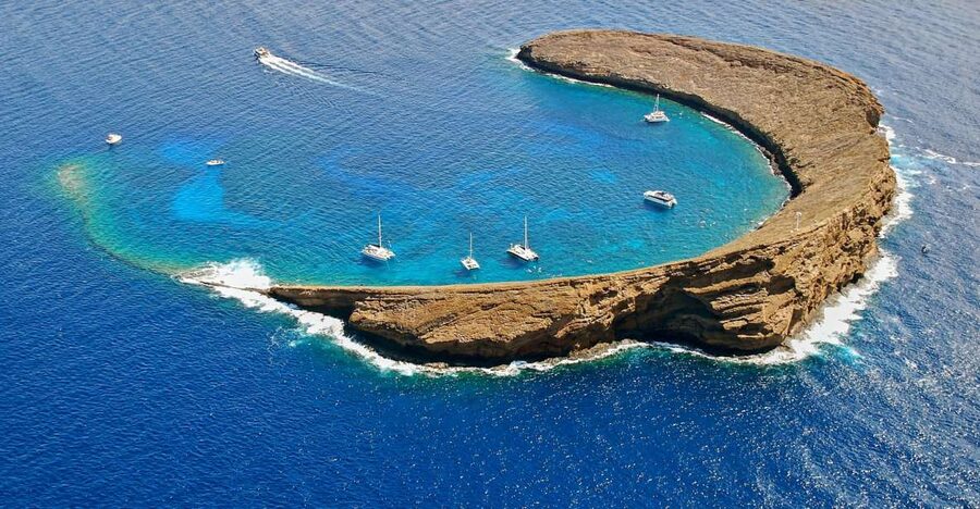 Maui: Molokini Snorkel and Performance Sail with Lunch - Ma’alaea Harbor check-in: the start that sets the tone