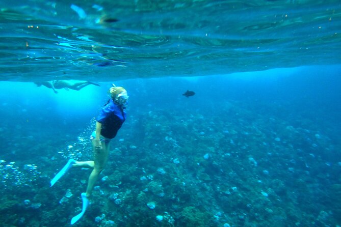 Maui: Molokini & Turtle Town Snorkel & Waterslide Adventure - Stop 2: Turtle Town—how to maximize your chance at seeing honu