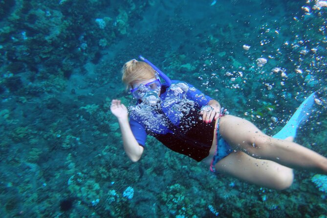 Maui: Molokini & Turtle Town Snorkel & Waterslide Adventure - Snorkeling gear, rules, and the “airway + stairs” reality check