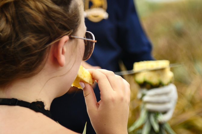 Maui Pineapple Farm Tour in Haliimaile - Guides, Energy, and What Makes the Tour Feel Personal