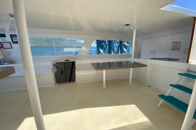 Maui Premium Sunset Dinner Cruise from Ka’anapali Beach - Price and Value: Is $166.31 Worth It?