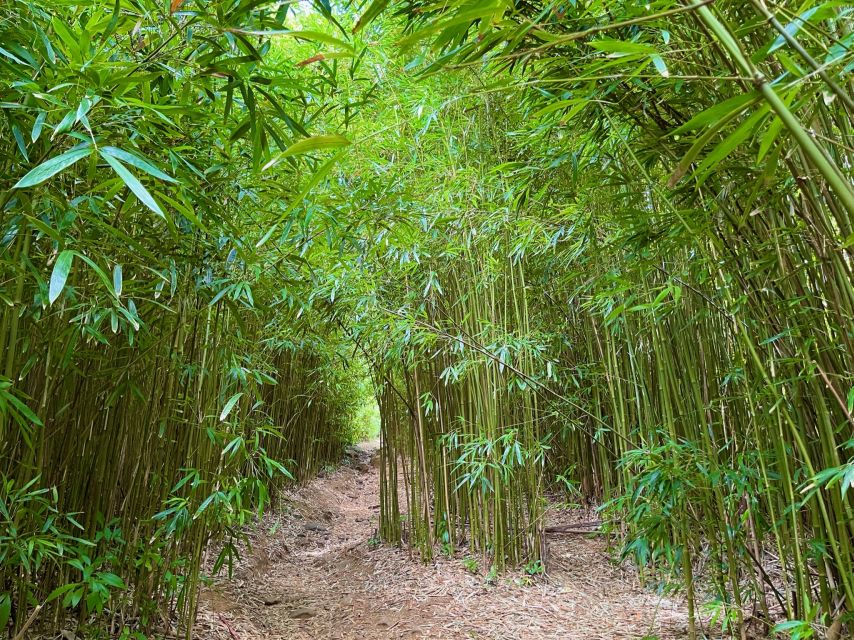 Maui: Private All-Inclusive Road to Hana Tour with Pickup - Price and Value: What $329 Buys You