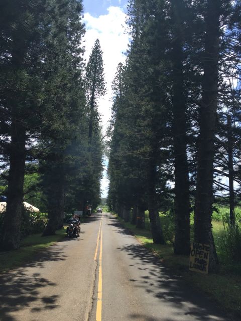 Maui : Private : Road to Hana Day Trip : Just For Your Group - Paia breakfast stop: Island Fresh Cafe and a stronger start