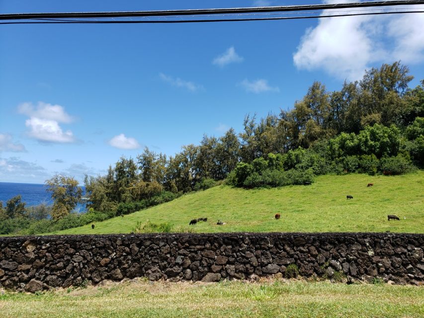 Maui : Private : Road to Hana Day Trip : Just For Your Group - Pua‘a Ka‘a State Wayside: swimming time with the right expectations