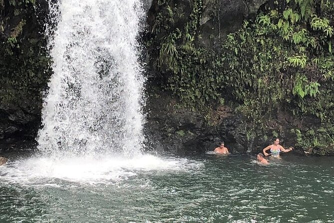 Maui Private Tour - Road to Hana Adventure - Just for Your Group - Private Group Freedom on the Road to Hāna