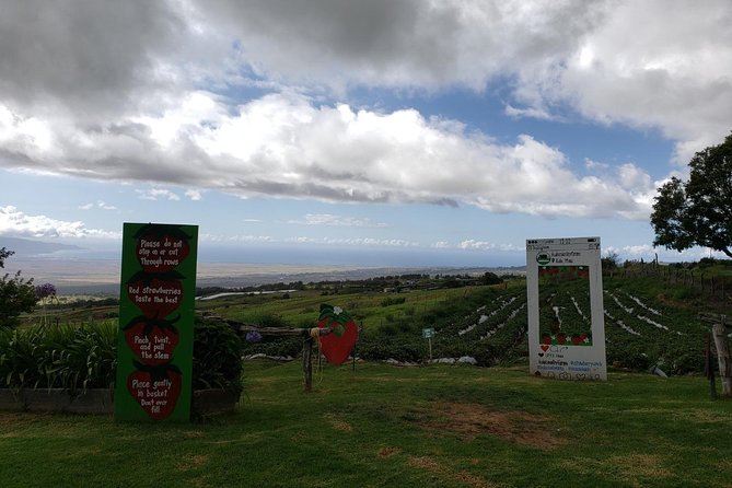 Maui Private Tour - Road to Hana Adventure - Just for Your Group - Hana Highway Start: The Part You Drive Only Once