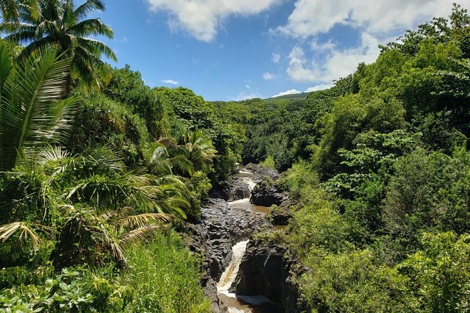 Maui Private Tour - Road to Hana Adventure - Just for Your Group - Seven Pools and the Maui Honeybee Sanctuary Detail