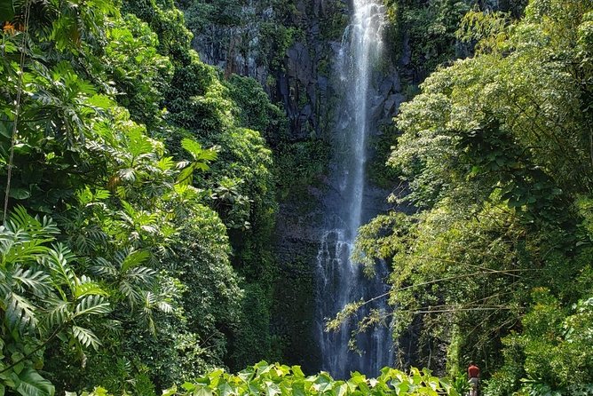 Maui Private Tour - Road to Hana Adventure - Just for Your Group - 8 to 9 Hours on the Road: Timing, Pacing, and Reality
