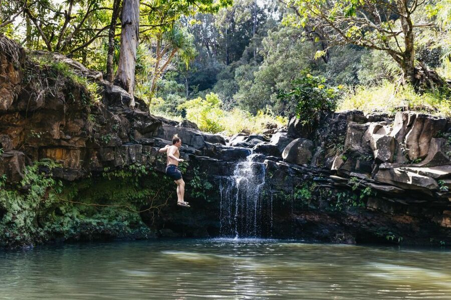 Maui: Rainforest Waterfalls Guided Hike with Picnic Lunch - Kahului Meetup and Optional Hotel Pickup: Getting Started Smoothly