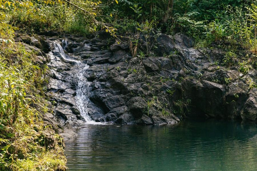 Maui: Rainforest Waterfalls Guided Hike with Picnic Lunch - Should You Book This Maui Rainforest Waterfalls Hike?