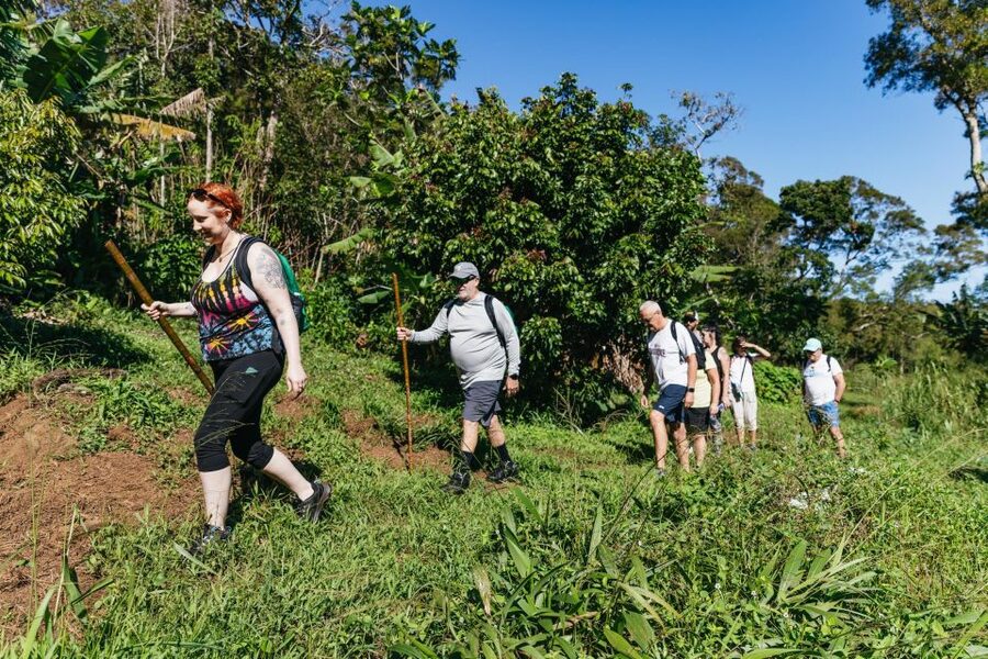 Maui: Rainforest Waterfalls Guided Hike with Picnic Lunch - Who Should Book This Waterfall Hike (and Who Might Not)