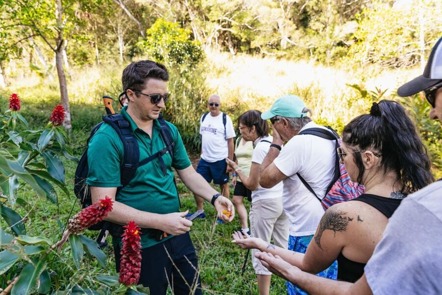 Maui: Rainforest Waterfalls Guided Hike with Picnic Lunch - Waterfall Stops and Pool Time: Where the Adventure Happens