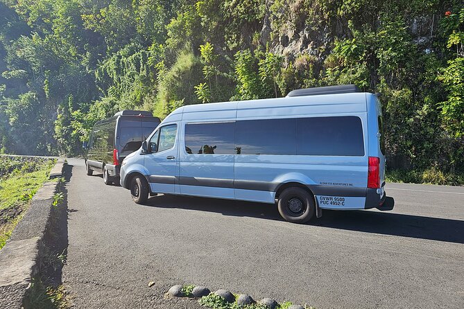 Maui: Road to Hana Adventure with Farm to Table Lunch - Pua’a Ka’a Falls: a lush pause with a swim option