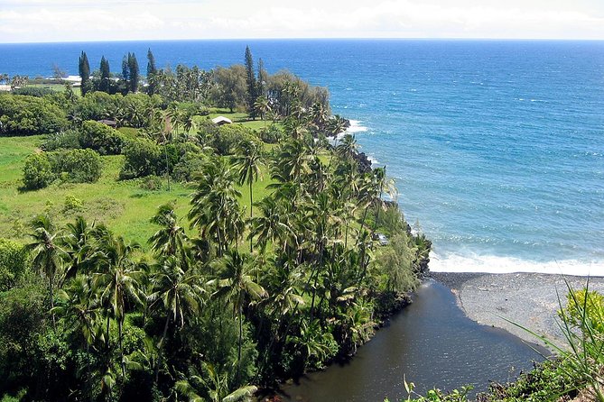 Maui: Road to Hana Luxury Limo-Van Tour with Helicopter Flight - Pacific Rim lunch by the water, with dietary options handled