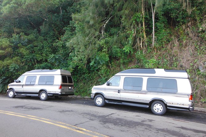 Maui: Road to Hana Luxury Limo-Van Tour with Helicopter Flight - The Eco-Star helicopter flight: the 36 minutes that change the whole day