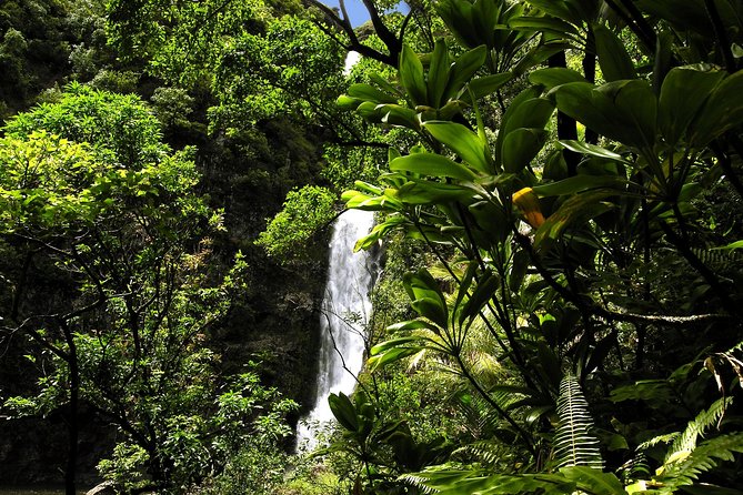 Maui: Road to Hana Luxury Limo-Van Tour with Helicopter Flight - Safety, timing, and the weight rules that are not optional