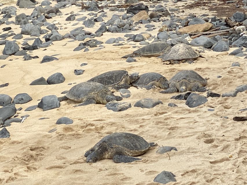 Maui: Road to Hana Private Adventure Tour with Luxury SUV - Price and value: what you’re paying for in a $1,399 private group