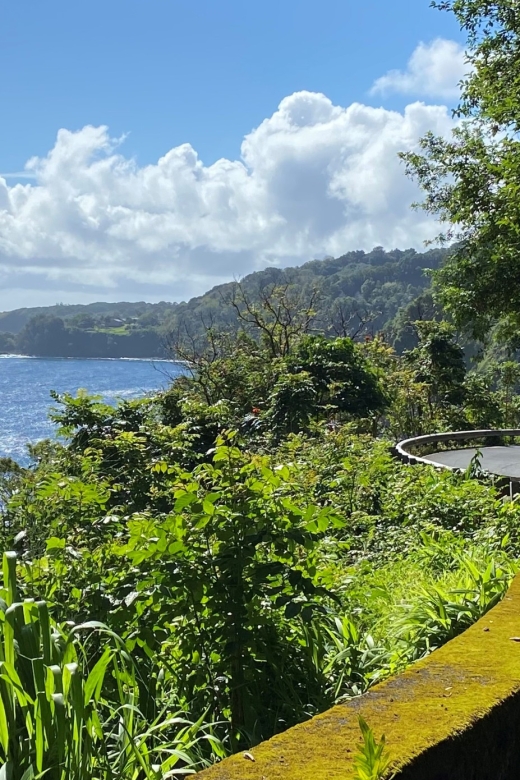 Maui: Road to Hana Private Adventure Tour with Luxury SUV - Kaupo, old churches, and Laulima Organic Farm stops