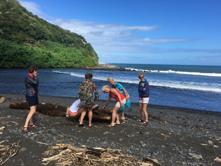 Maui: Road to Hana Private Adventure Tour with Luxury SUV - Ho’okipa Beach Park and the green sea turtles finale