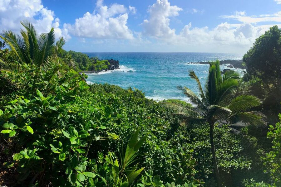 Maui: Road to Hana Sightseeing Tour - Hana Farms Lunch: Why This Meal Is More Than Just a Break