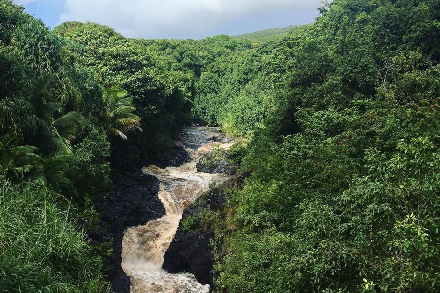 Maui: Road to Hana Sightseeing Tour - Price and Value: What You’re Really Paying For at $251